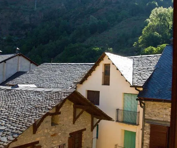 Cau D Aneu Duplex
